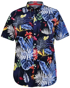 D555 Toby Hawaiian AOP S/S-Hemd mit Button-Down-Kragen, Mehrfarbig